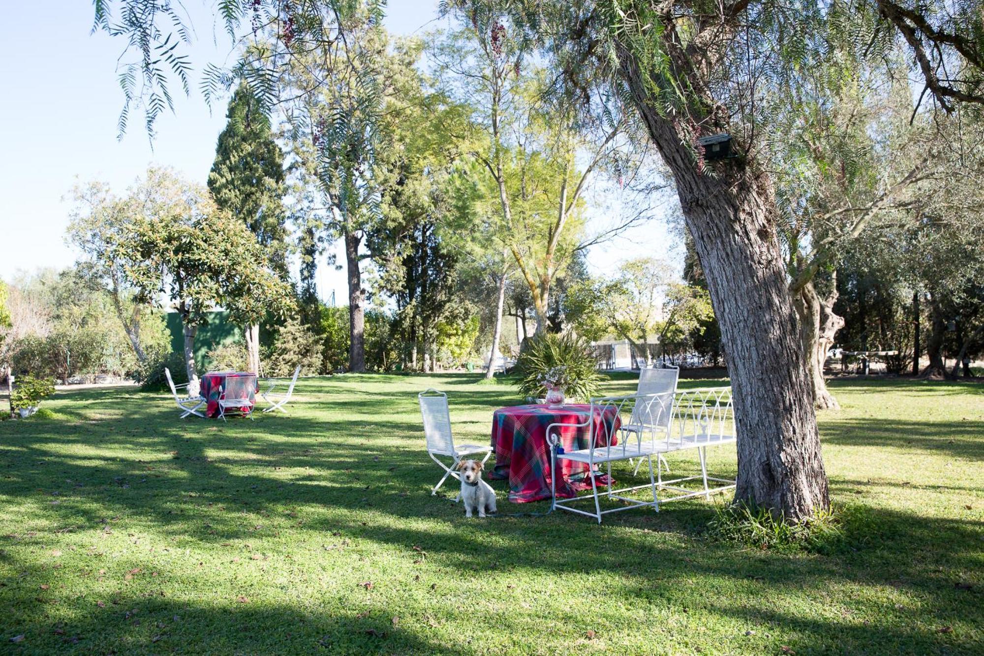 Cortijo Rural La Mariscala Villa Jerez de la Frontera Ngoại thất bức ảnh