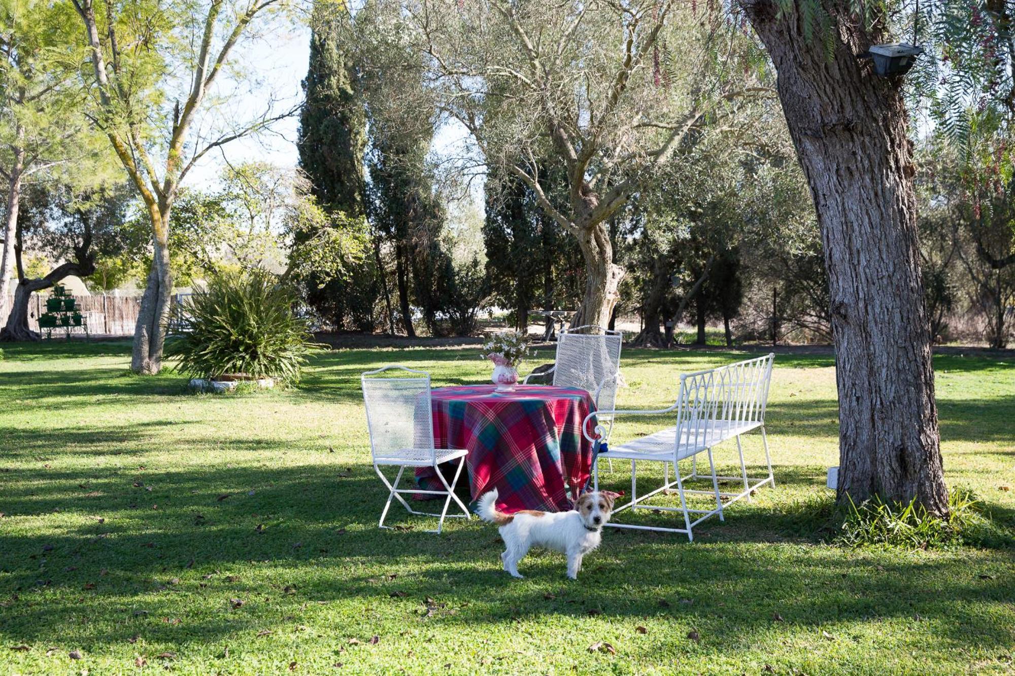 Cortijo Rural La Mariscala Villa Jerez de la Frontera Ngoại thất bức ảnh